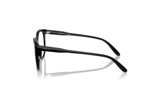 Seitenansicht Vogue Eyewear VO5552 (W44)