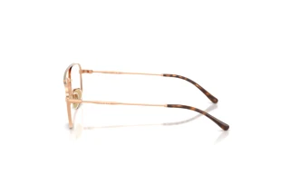 Seitenansicht Vogue Eyewear VY1001 (5152)