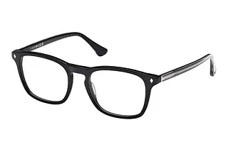 Web Eyewear WE5386 005