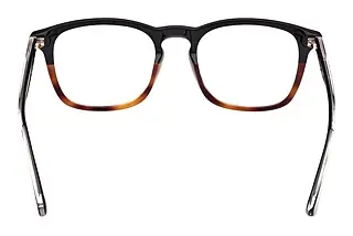 Rückansicht Web Eyewear WE5386 (056)