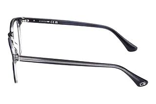 Seitenansicht Web Eyewear WE5386 (092)