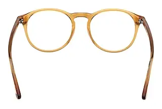 Rückansicht Web Eyewear WE5387 (039)