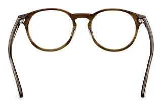 Rückansicht Web Eyewear WE5387 (050)