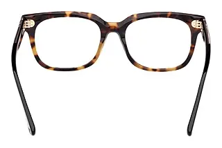 Rückansicht Web Eyewear WE5397 (052)