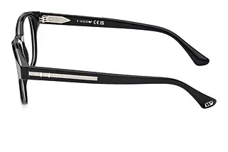 Seitenansicht Web Eyewear WE5411 (001)