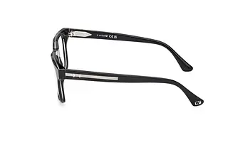 Seitenansicht Web Eyewear WE5412 (001)