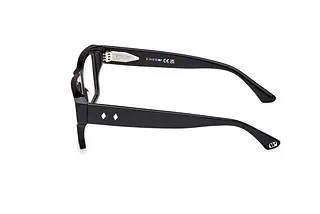 Seitenansicht Web Eyewear WE5415 (001)