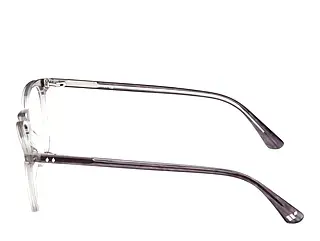 Seitenansicht Web Eyewear WE5419 (020)