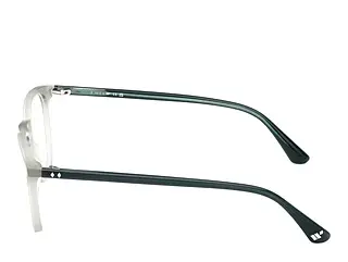 Seitenansicht Web Eyewear WE5419 (095)