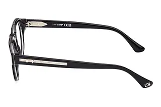 Seitenansicht Web Eyewear WE5421 (005)