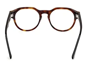Rückansicht Web Eyewear WE5421 (055)