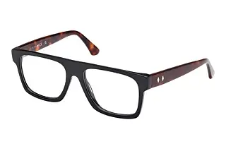 Web Eyewear WE5426 005