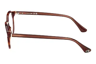 Seitenansicht Web Eyewear WE5427 (056)