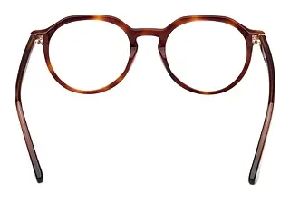 Rückansicht Web Eyewear WE5427 (056)