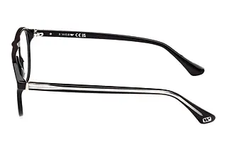 Seitenansicht Web Eyewear WE5429 (001)