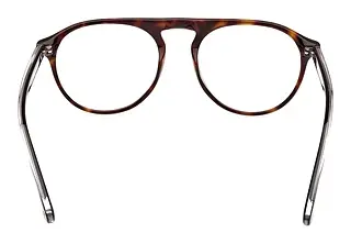 Rückansicht Web Eyewear WE5429 (055)