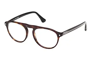 Vorderansicht Web Eyewear WE5429 (055)