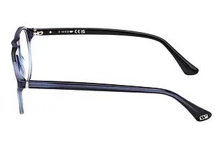 Seitenansicht Web Eyewear WE5429 (092)