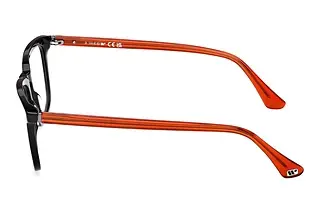 Seitenansicht Web Eyewear WE5430 (002)