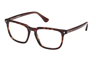 Web Eyewear WE5430 056