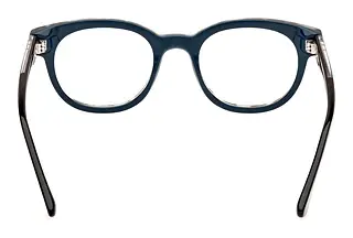 Rückansicht Web Eyewear WE5431 (055)