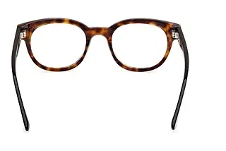 Rückansicht Web Eyewear WE5431 (056)