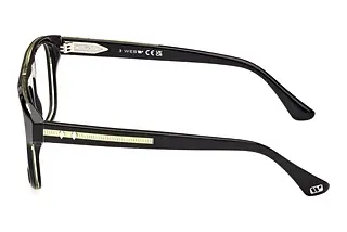 Seitenansicht Web Eyewear WE5434 (005)