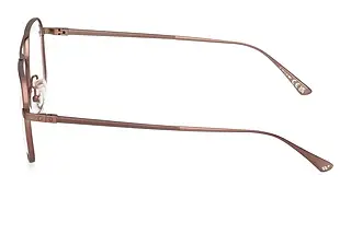 Seitenansicht Web Eyewear WE5437 (037)