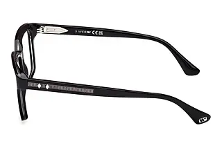 Seitenansicht Web Eyewear WE5452 (005)