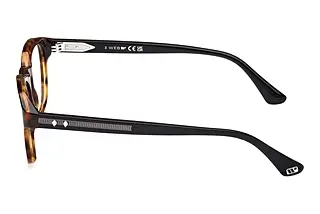 Seitenansicht Web Eyewear WE5453 (055)