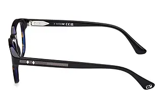 Seitenansicht Web Eyewear WE5453 (056)