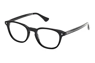 Web Eyewear WE5455 005 Schwarz/Einfarbig