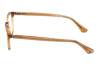Seitenansicht Web Eyewear WE5455 (039)