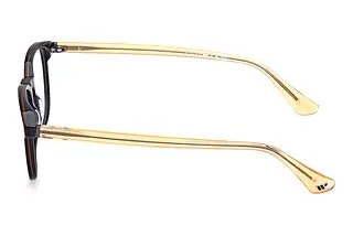 Seitenansicht Web Eyewear WE5455 (092)