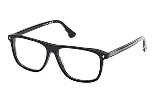 Web Eyewear WE5456 005 Schwarz/Einfarbig
