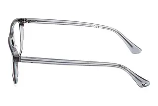 Seitenansicht Web Eyewear WE5456 (020)