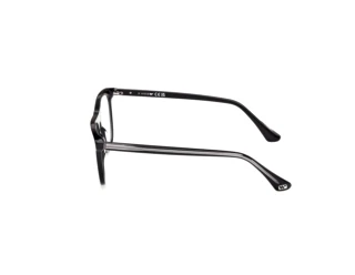 Seitenansicht Web Eyewear WE5462 (005)