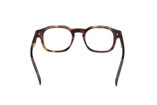 Rückansicht Zegna EZ5293 (052)
