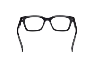 Rückansicht Zegna EZ5294 (001)