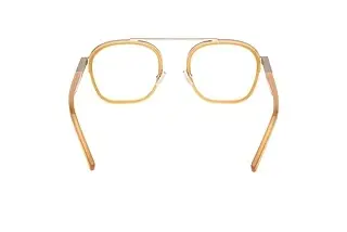 Rückansicht Zegna EZ5302 (041)