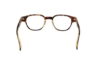 Rückansicht Zegna EZ5306 (056)