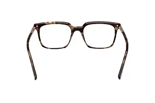 Rückansicht Zegna EZ5309 (052)