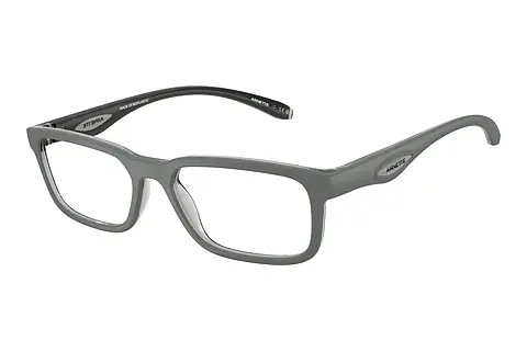 Designerbrillen Arnette RAYSIN (AN7283 3009)
