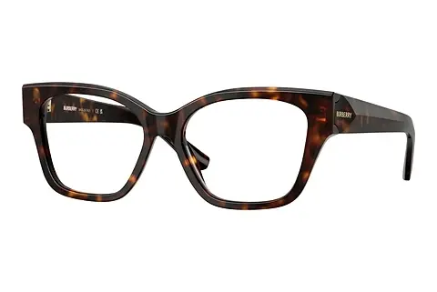 Designerbrillen Burberry BE2420 3002