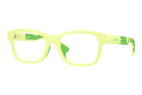 Designerbrillen Burberry JB2018U 4237