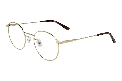Designerbrillen Calvin Klein CK19119 717