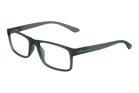 Designerbrillen Calvin Klein CK19569 329