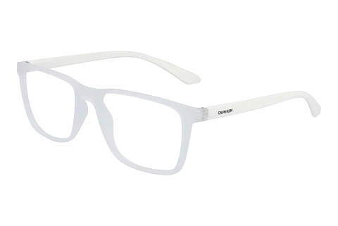 Designerbrillen Calvin Klein CK19573 971