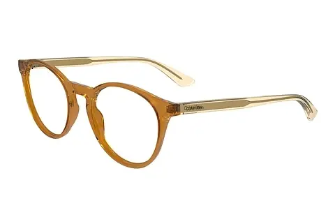Designerbrillen Calvin Klein CK23549 208