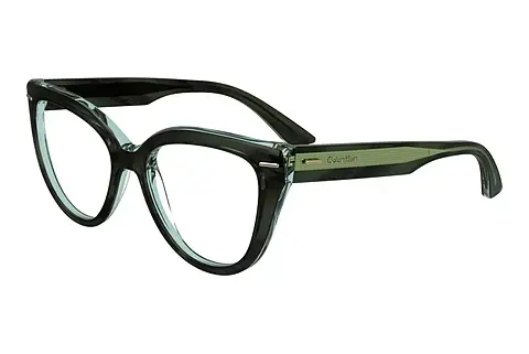 Designerbrillen Calvin Klein CK24514 031